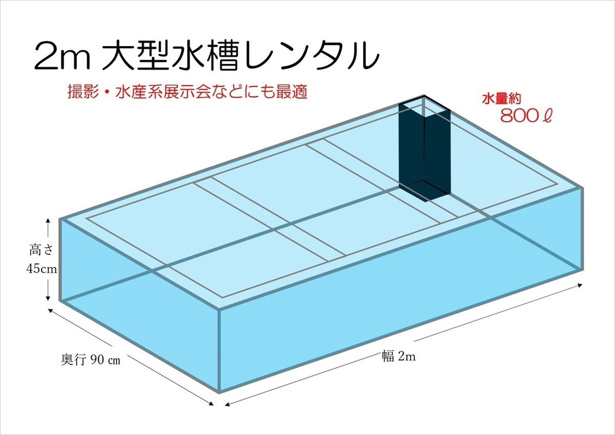 大型魚展示用水槽