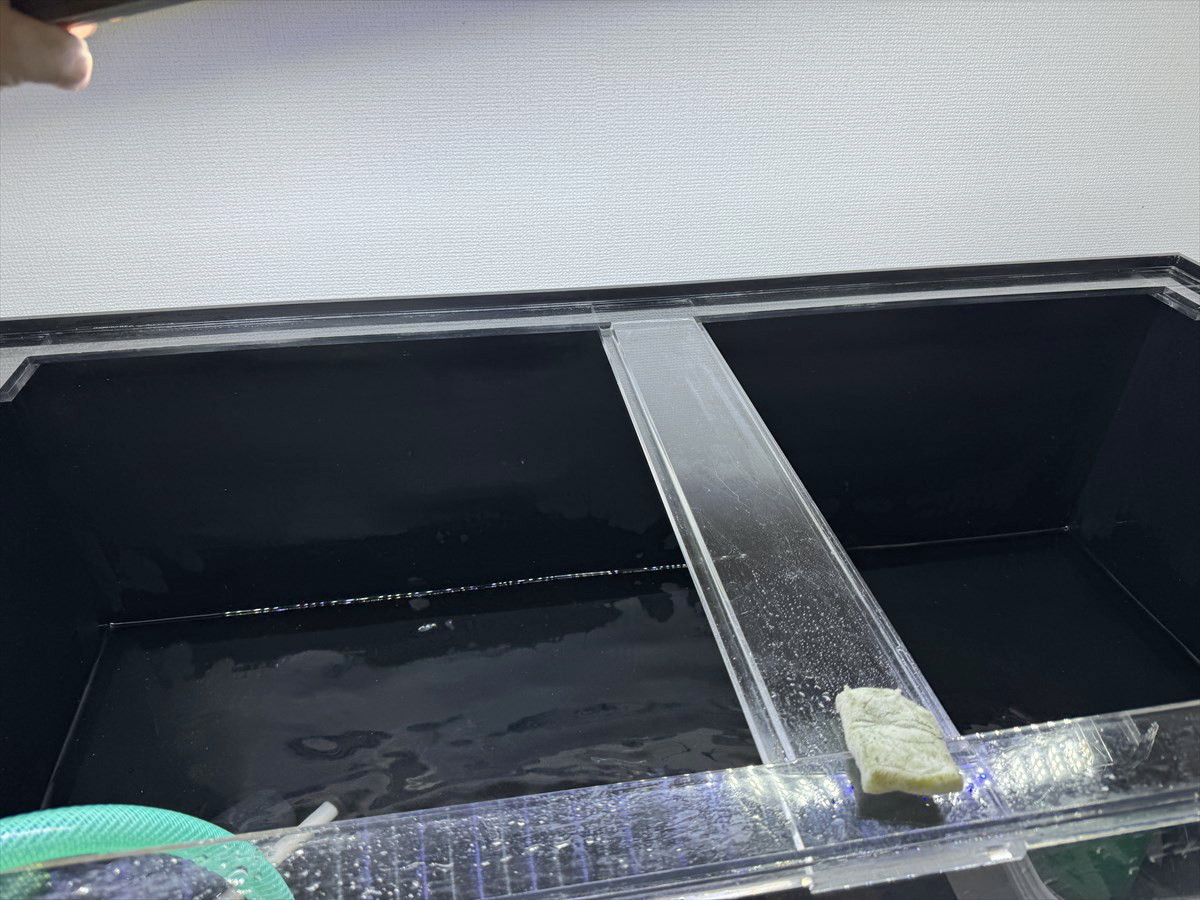 アロワナ水槽　アクリル掃除