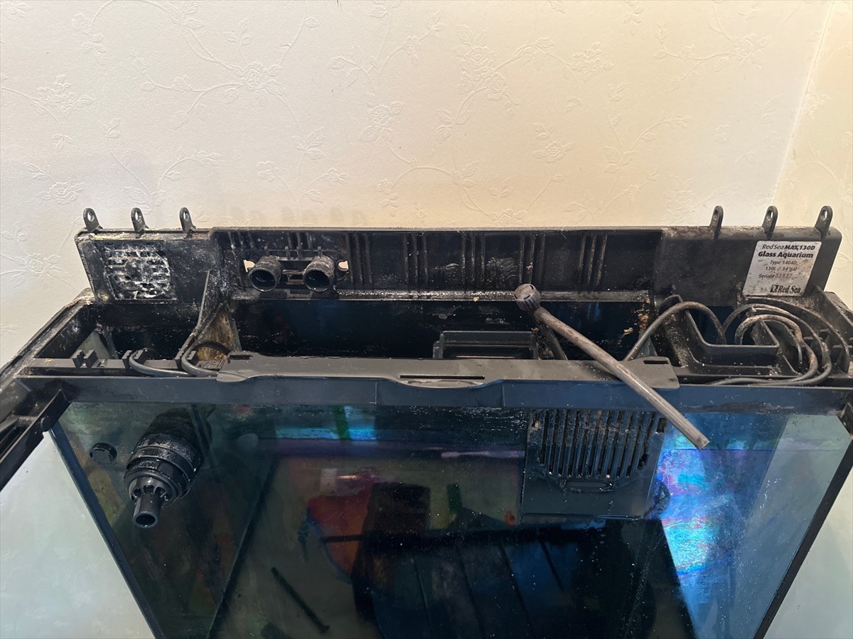 レッドシーマックス水槽　掃除