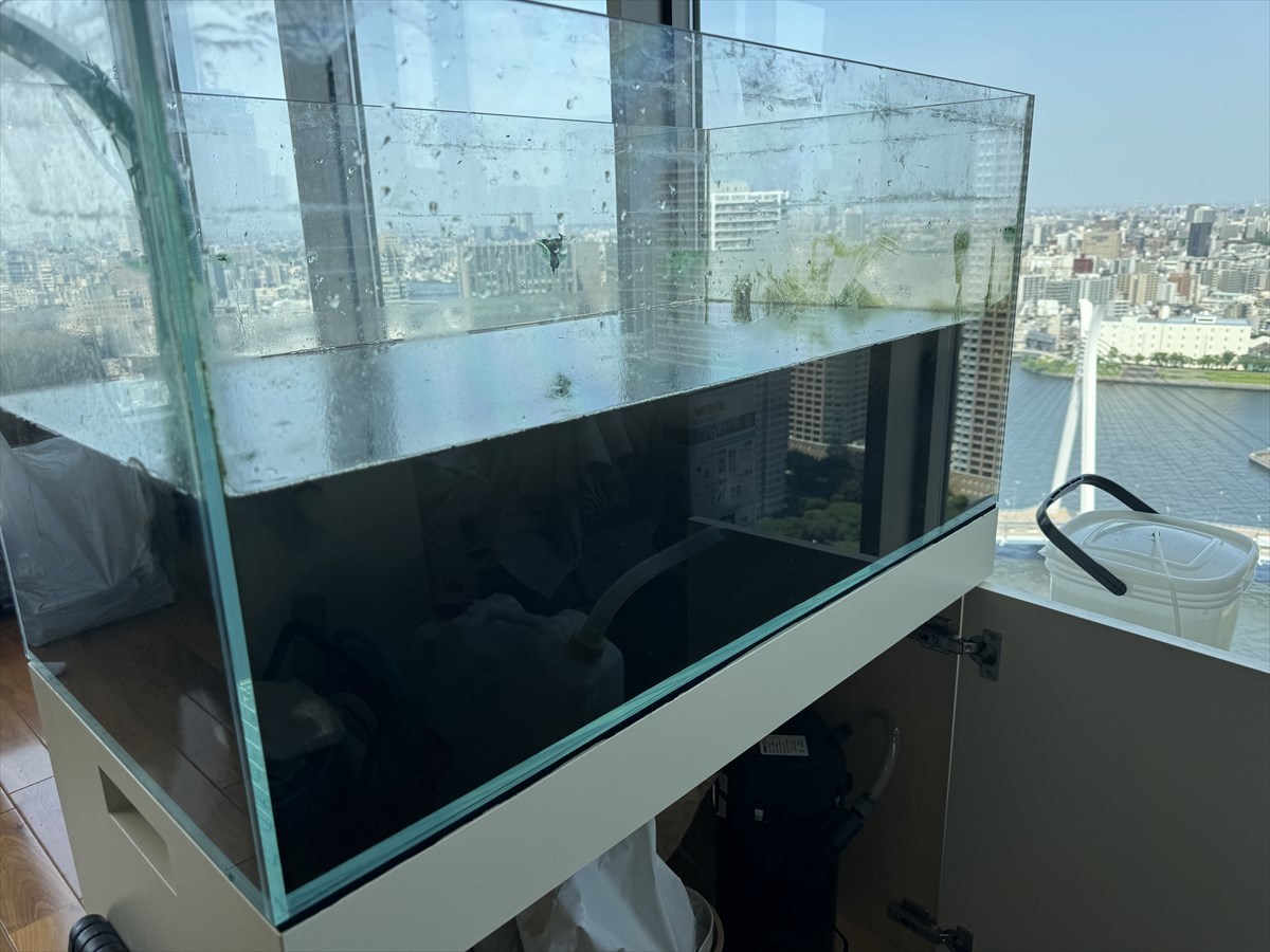 水槽　ソイル出し掃除