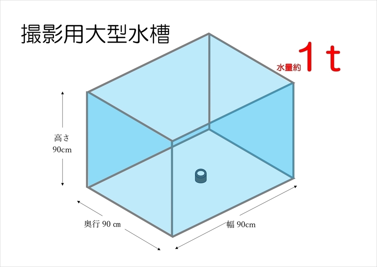 人が入れる水槽　レンタル