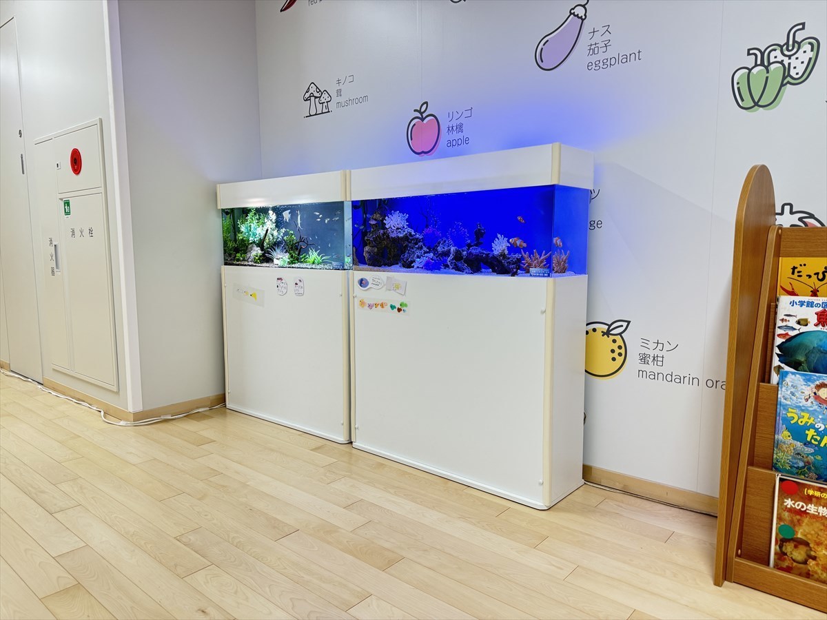 水槽　レンタルサービス業者