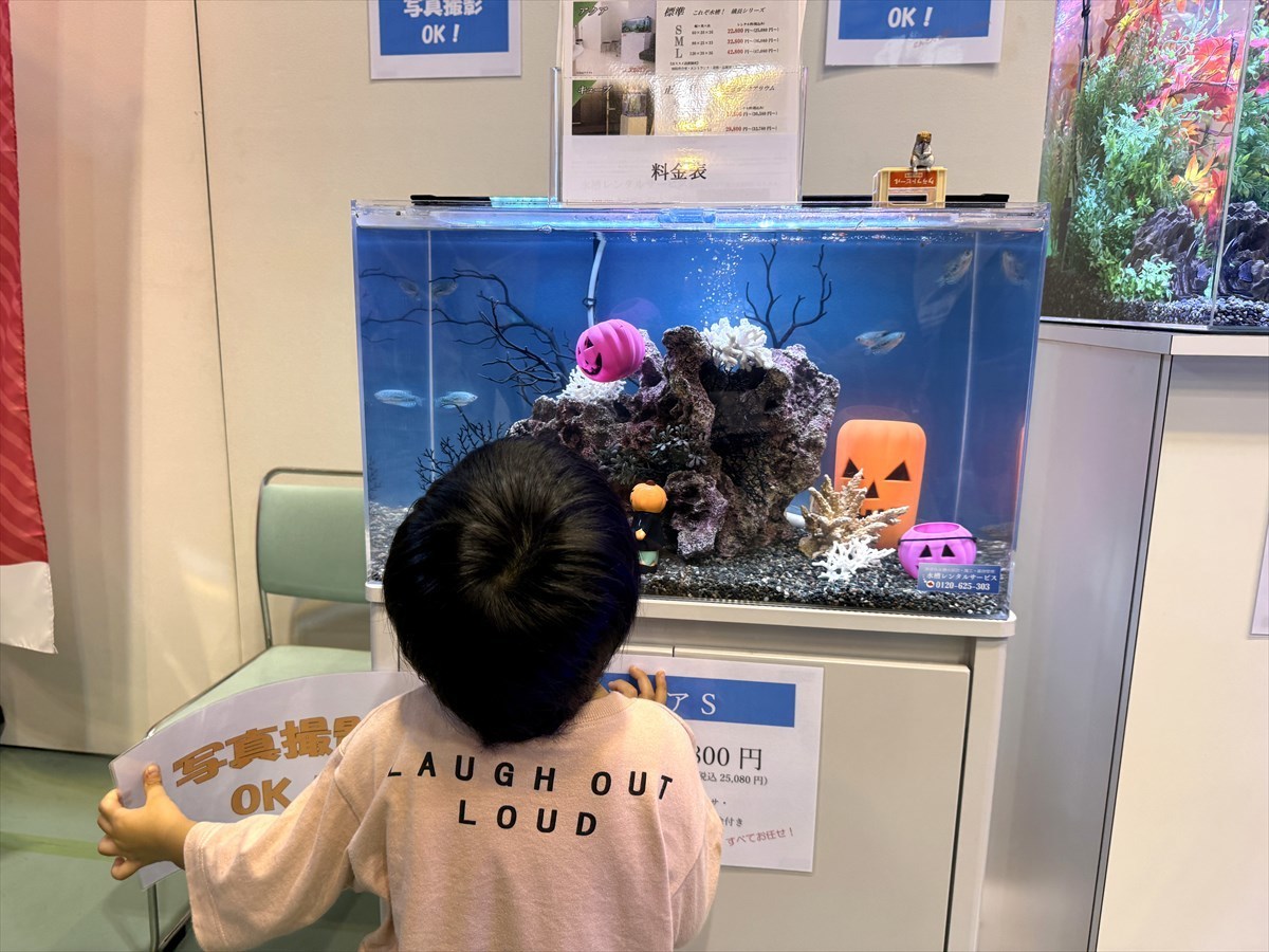 こしがや産業フェスタ　レンタル熱帯魚