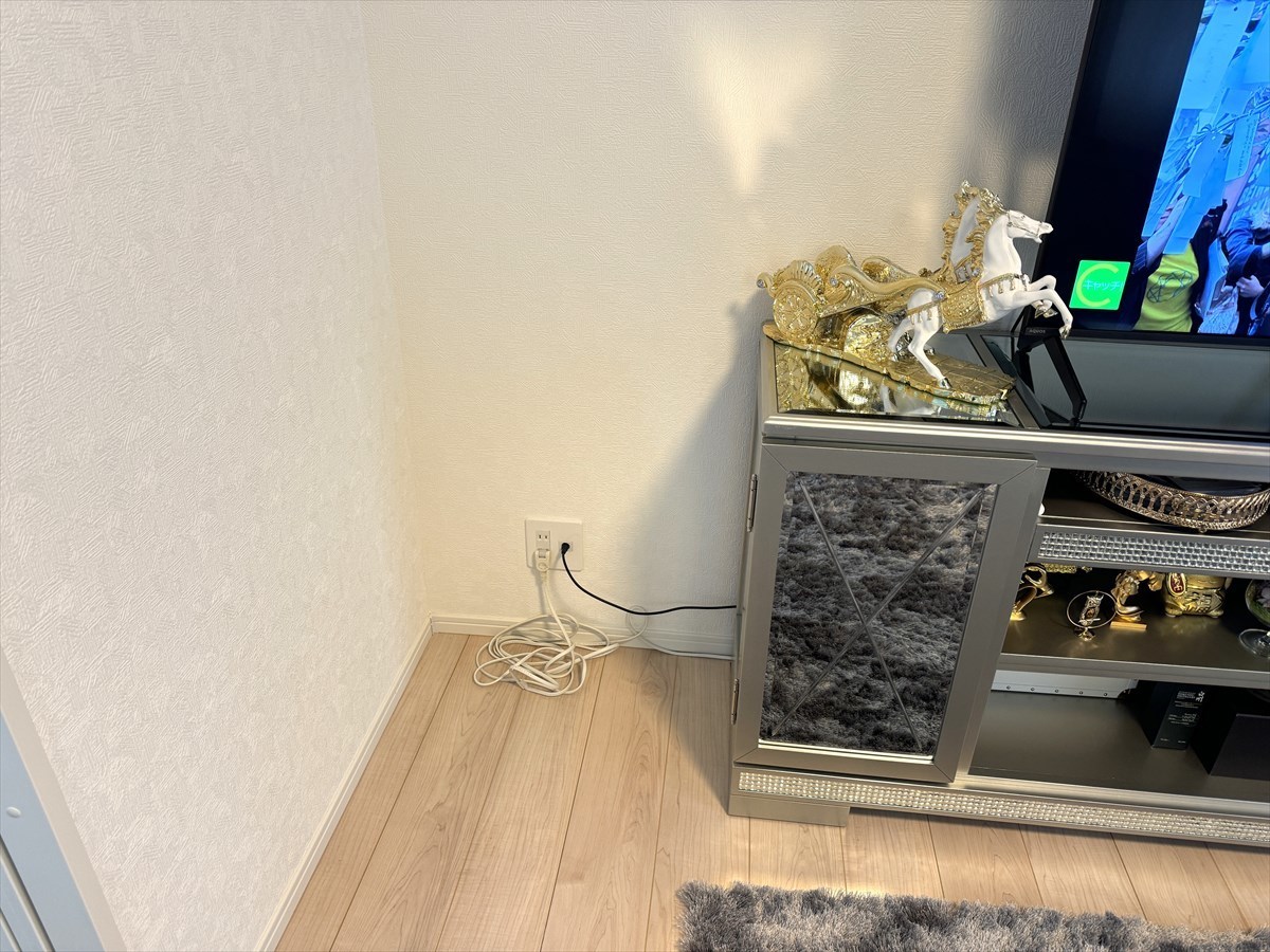 熱帯魚水槽　レンタル