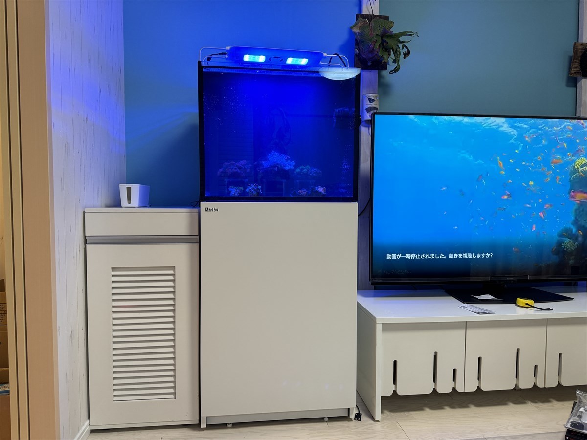 レッドシーリーファー170G2+　設置