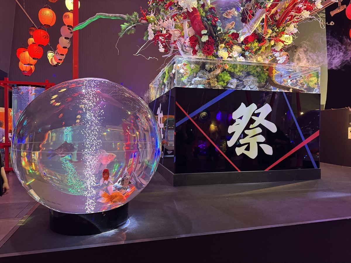 錦鯉・金魚アクアリウム