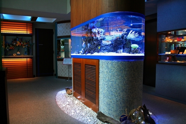 円柱水槽　海水魚