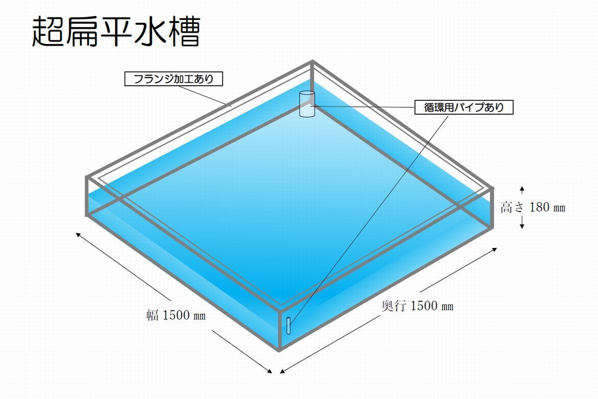 扁平水槽　レンタル