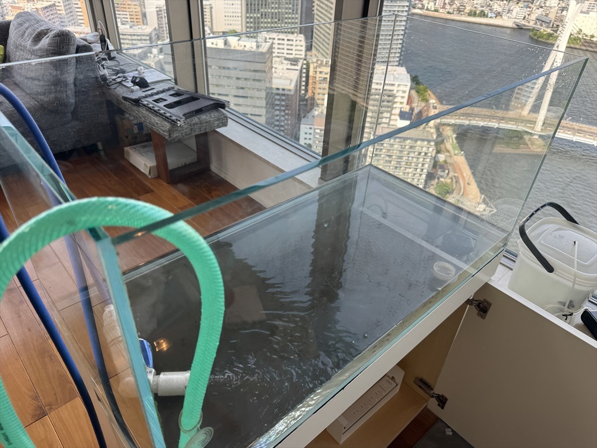 水槽　リセット掃除