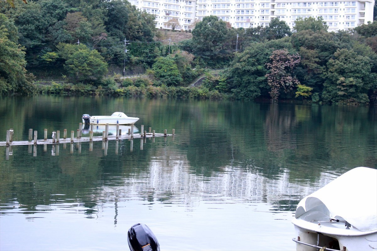 水槽　湖ロケ