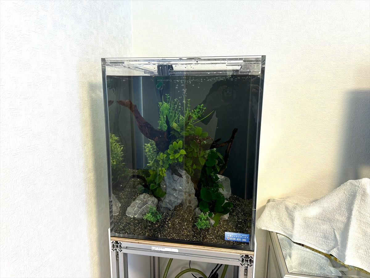 キューブ水槽