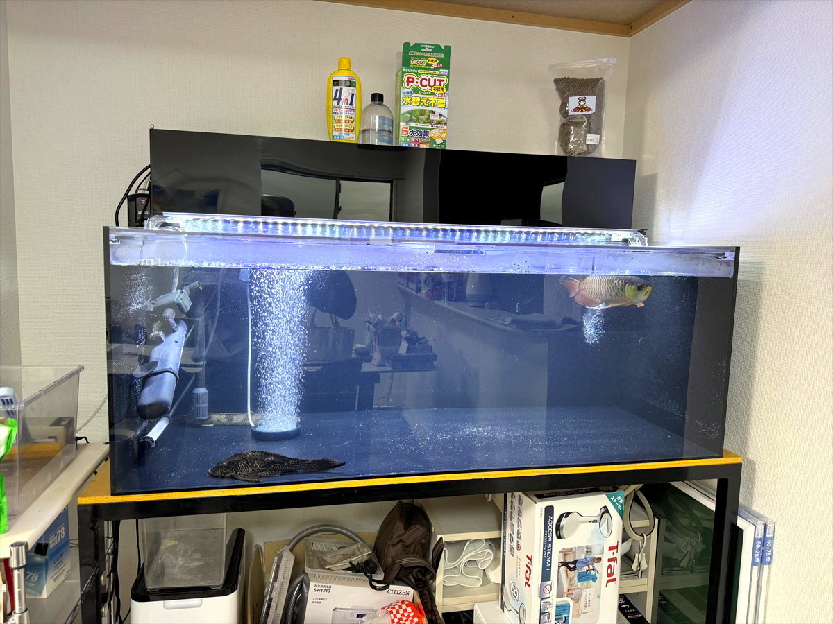 水槽　掃除業者