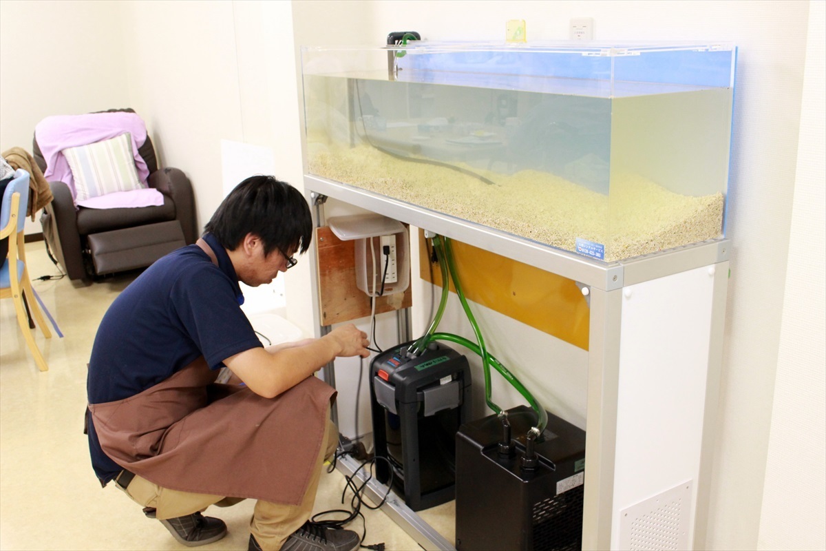 プロの水槽立ち上げ