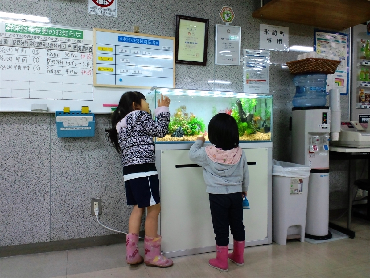 病院　水槽　効果