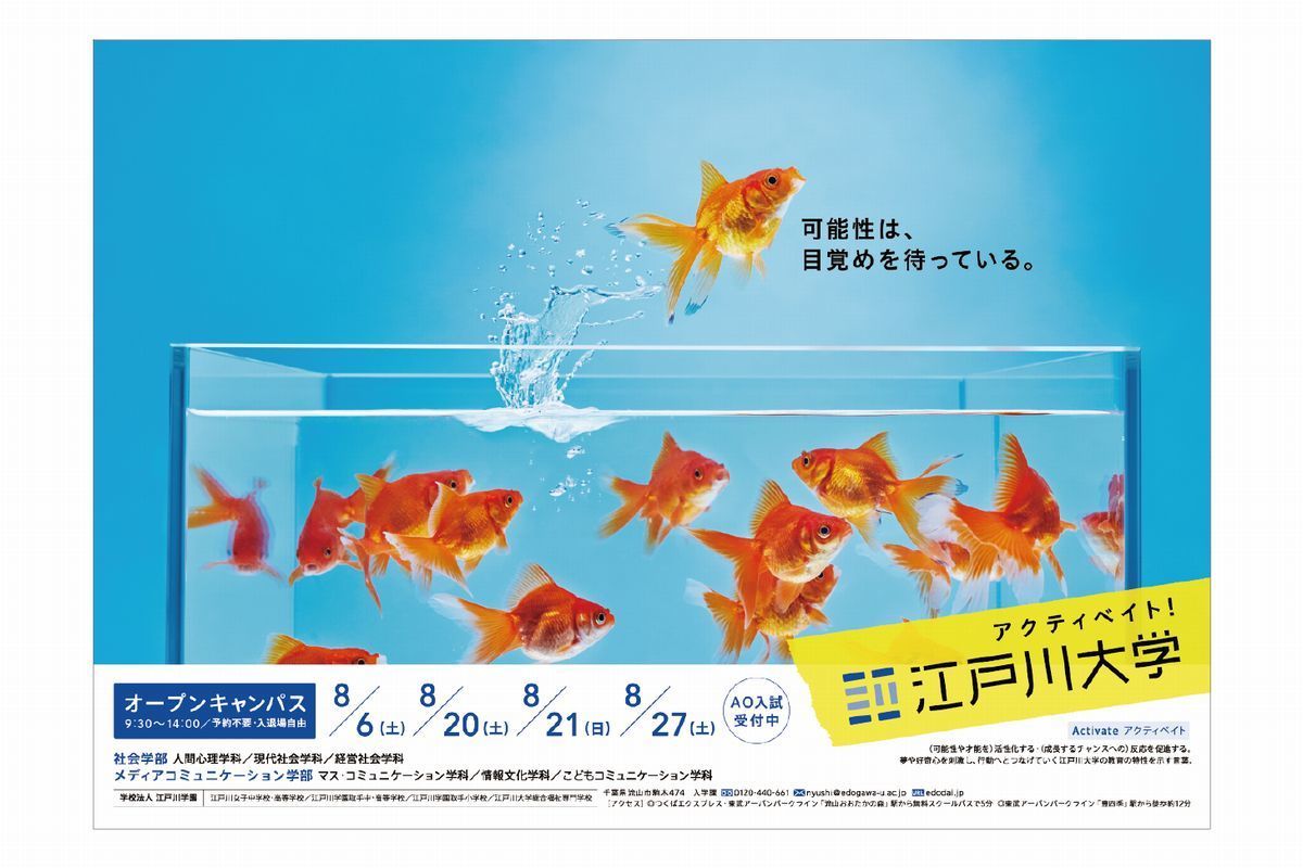 江戸川大学広告　金魚