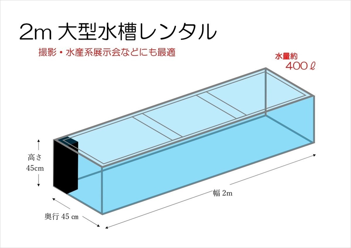 大型水槽レンタル