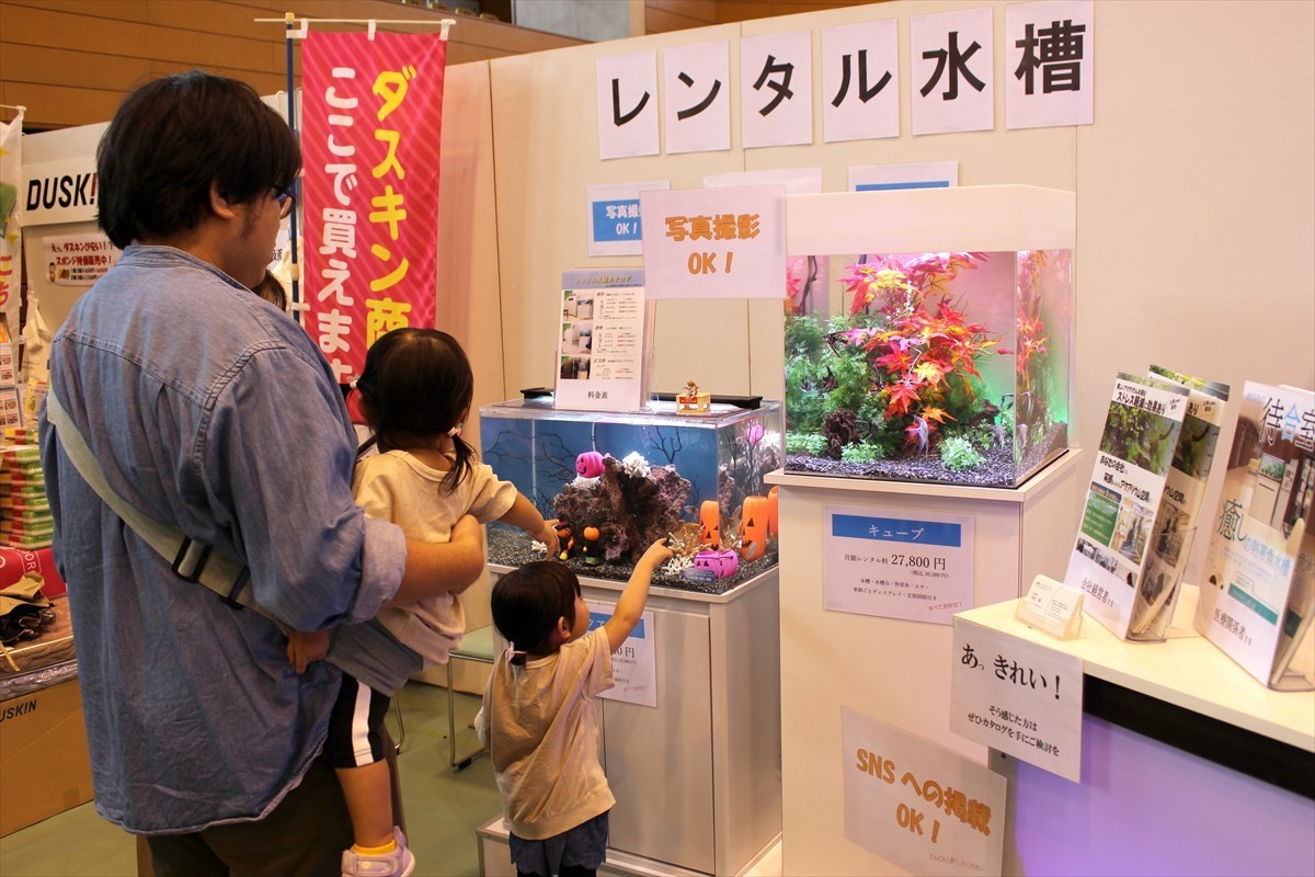 こしがや産業フェスタ　レンタル熱帯魚