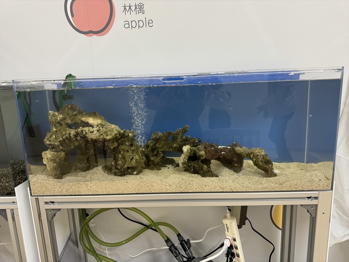 ライブロックレイアウト