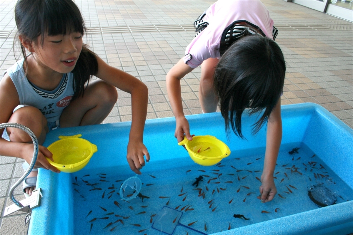 金魚すくい　子供