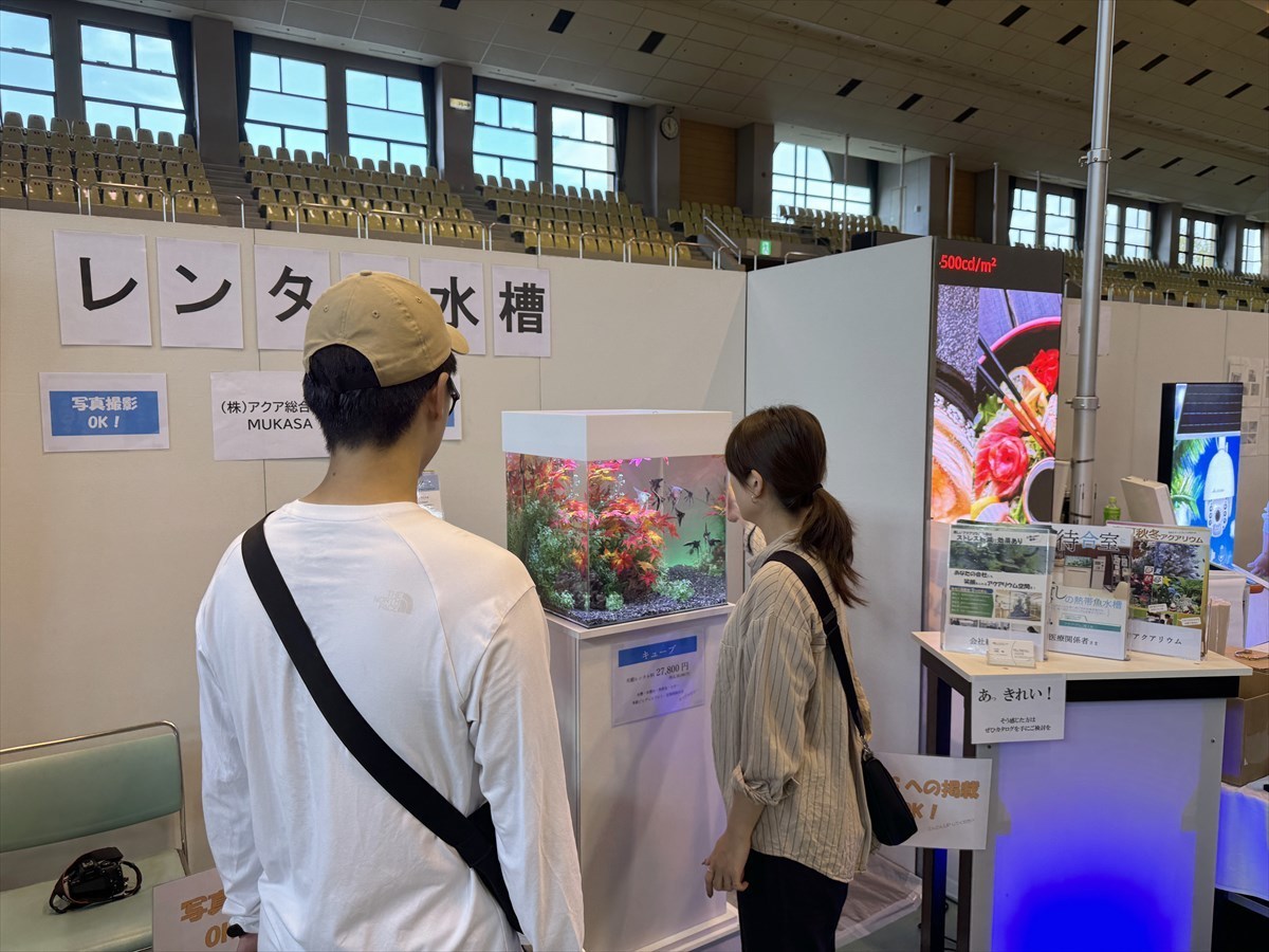 こしがや産業フェスタ　レンタル熱帯魚