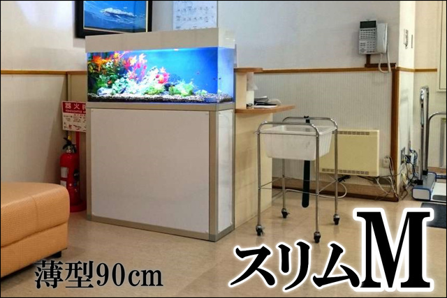 熱帯魚水槽のレンタル料金 定期メンテナンス付 水槽レンタルサービス
