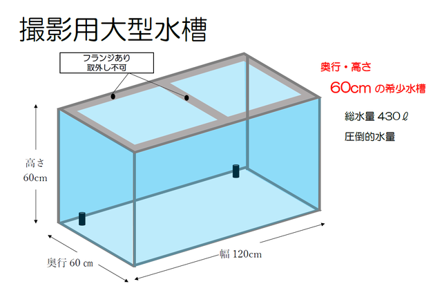 大型水槽レンタル
