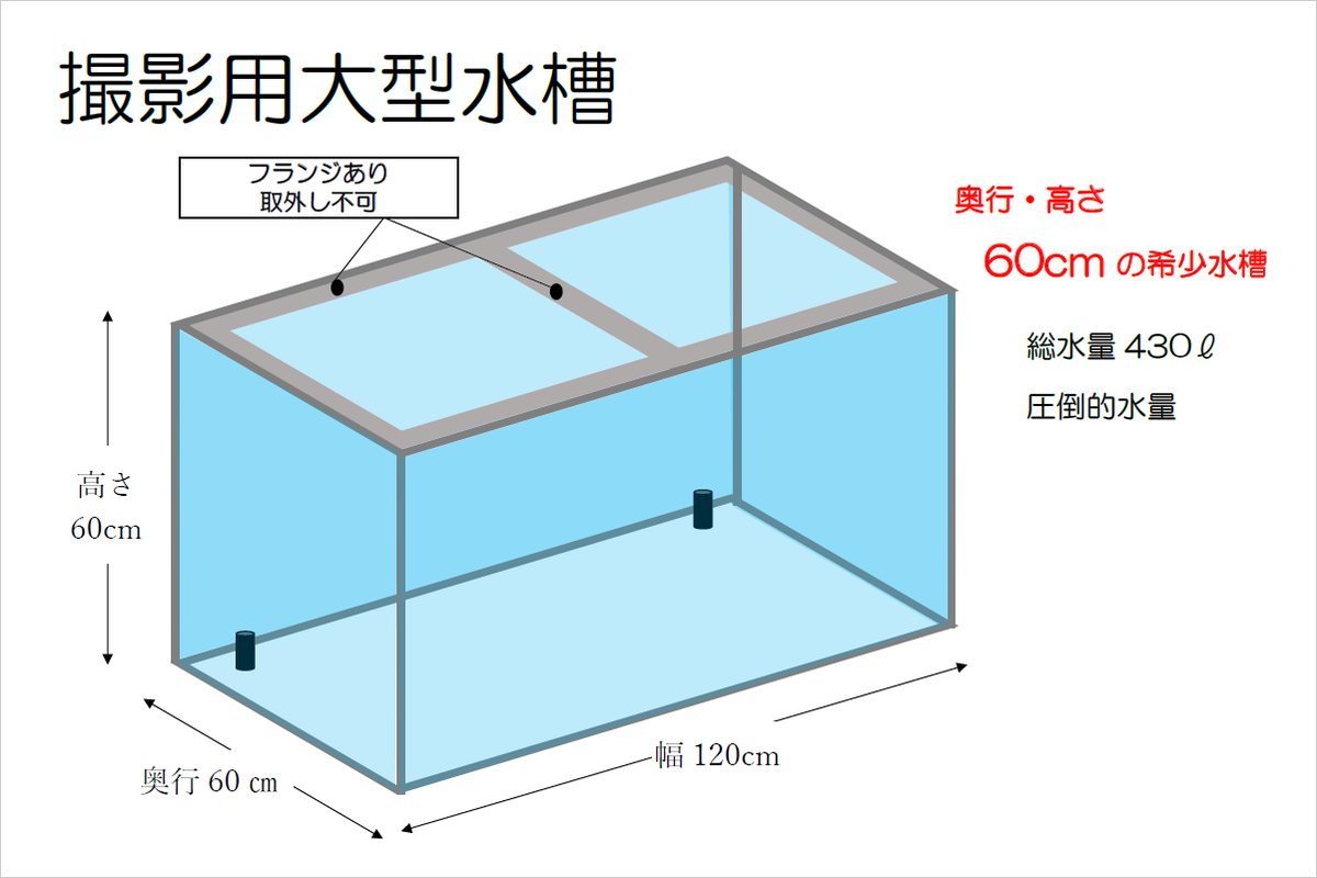 大型水槽　撮影用　レンタル