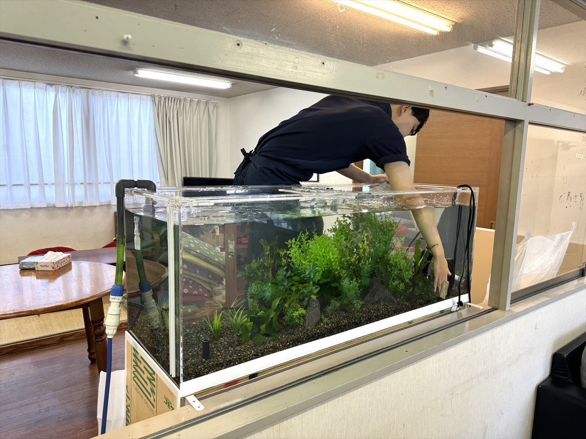 両面観賞水槽