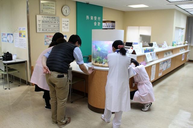 病院水槽　女性に好評