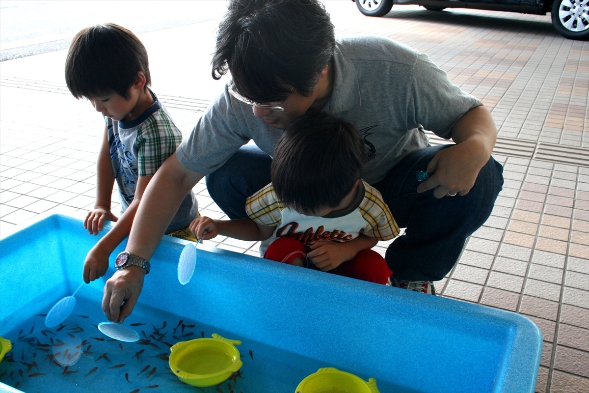 イベント　金魚すくい　レンタル