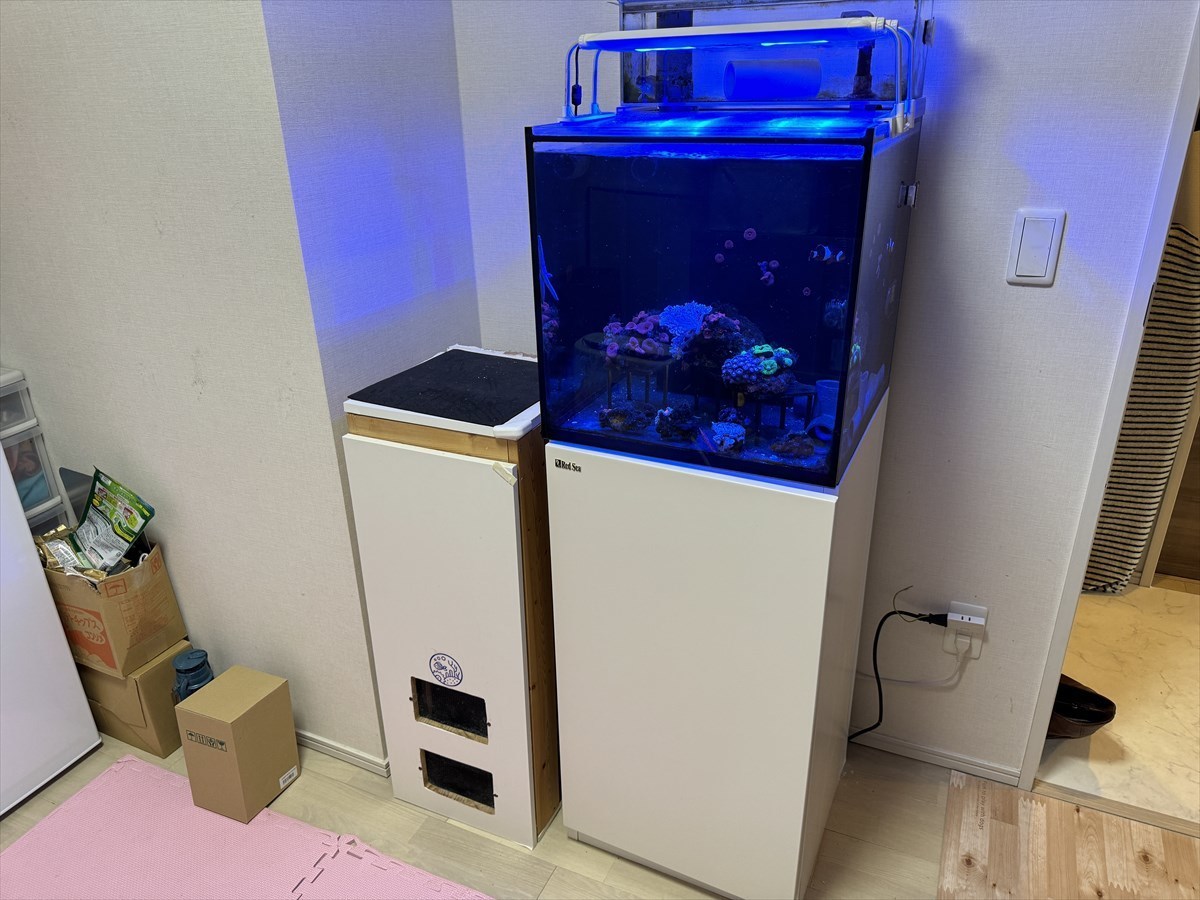 レッドシーリーファー　移動作業