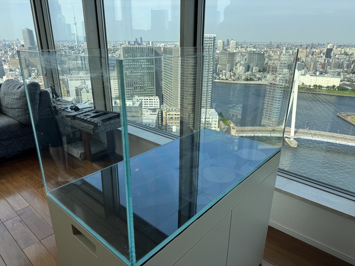 水槽　掃除業者
