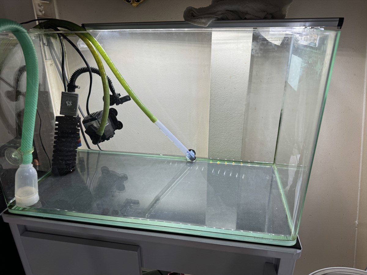 水槽　掃除中