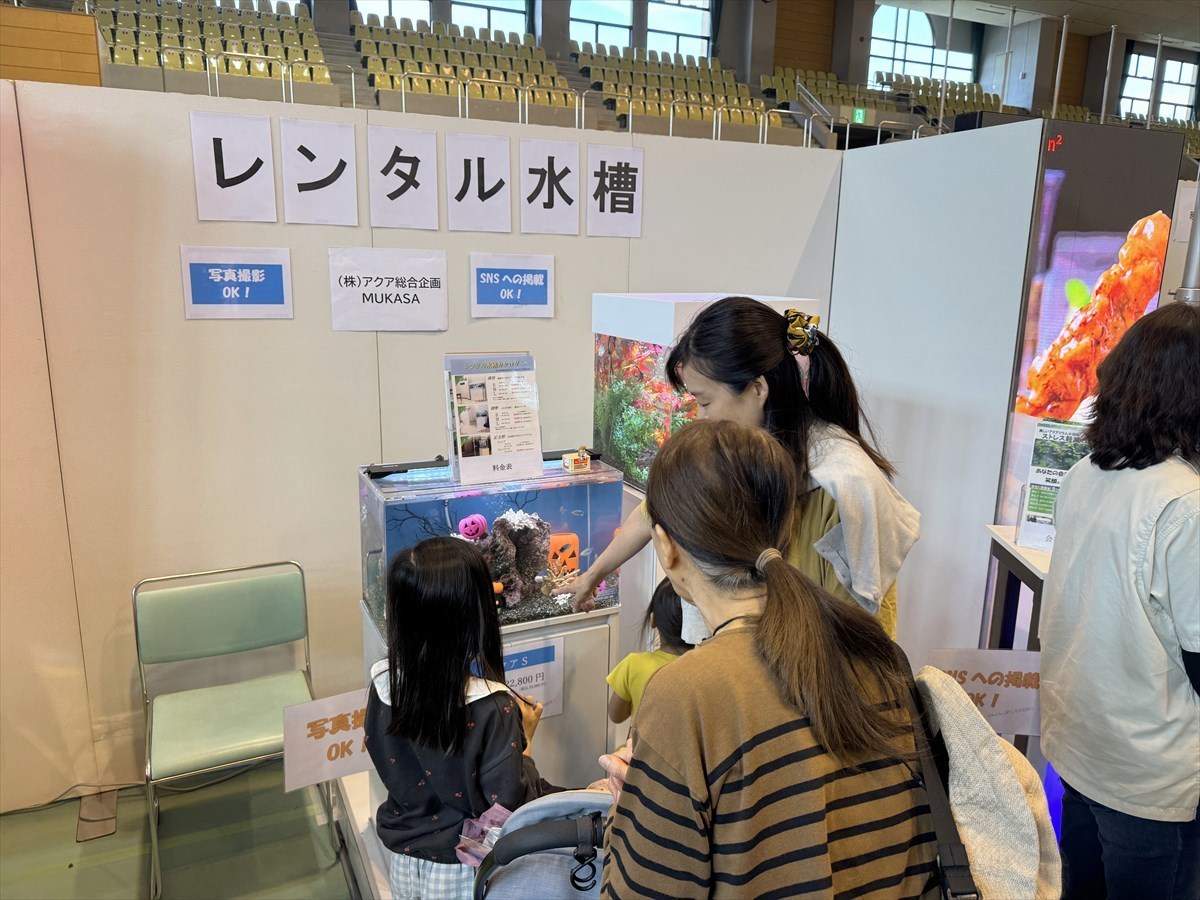 こしがや産業フェスタ　レンタル熱帯魚