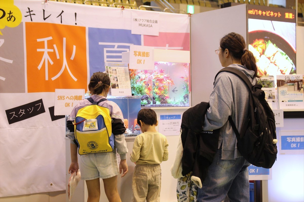 こしがや産業フェスタ　熱帯魚水槽