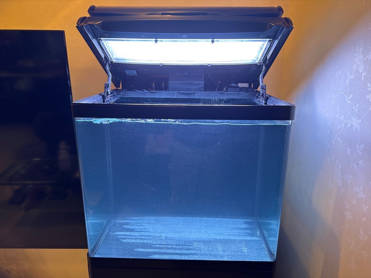 レッドシーマックス