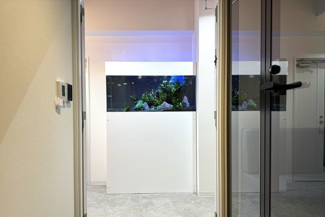 会社熱帯魚水槽