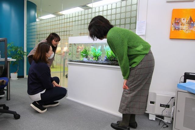 熱帯魚水槽　レンタル