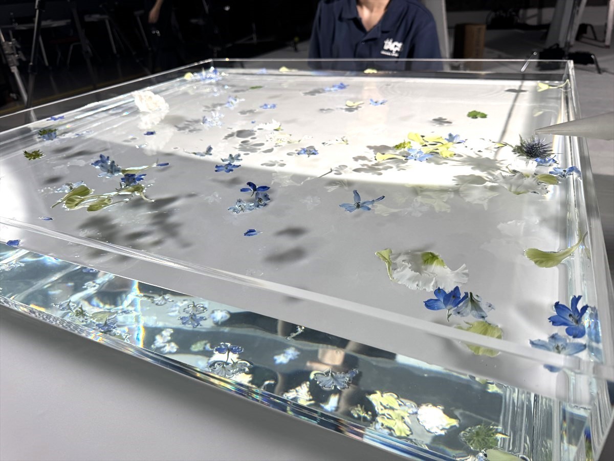 水槽　撮影現場