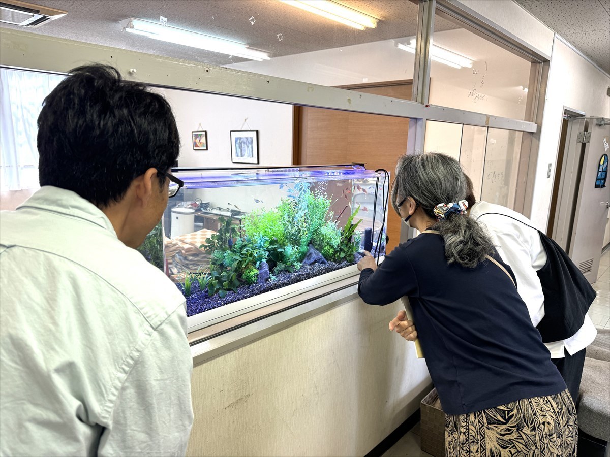 水槽　導入効果