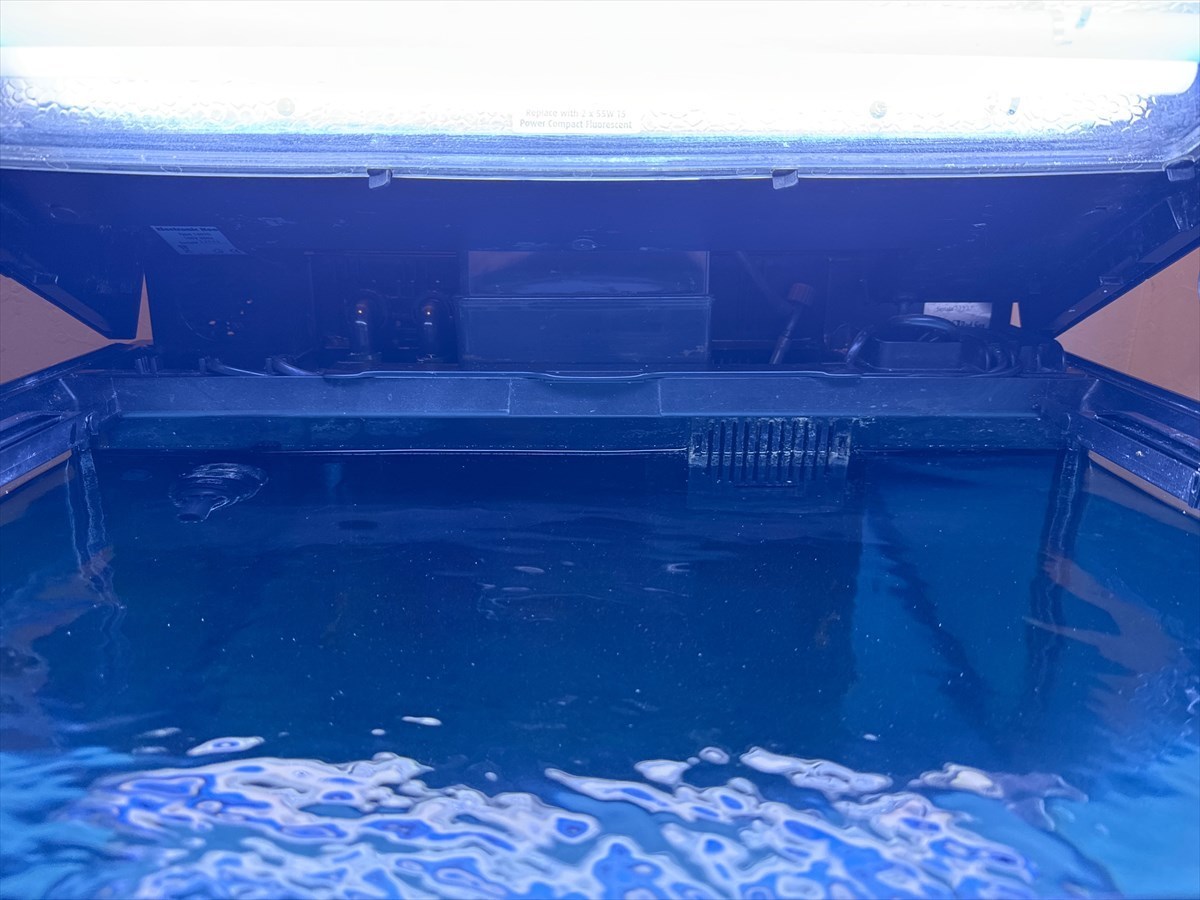 レッドシーマックス水槽　業者掃除