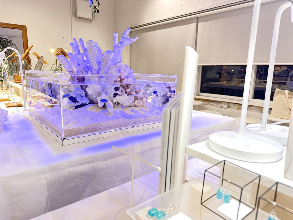 水槽レンタルサービス