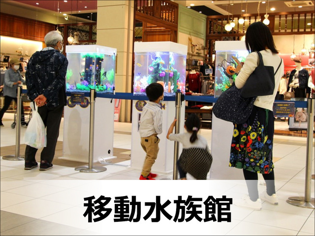 移動水族館
