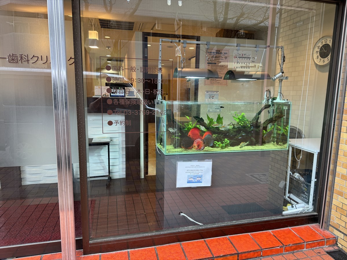 窓際　水槽