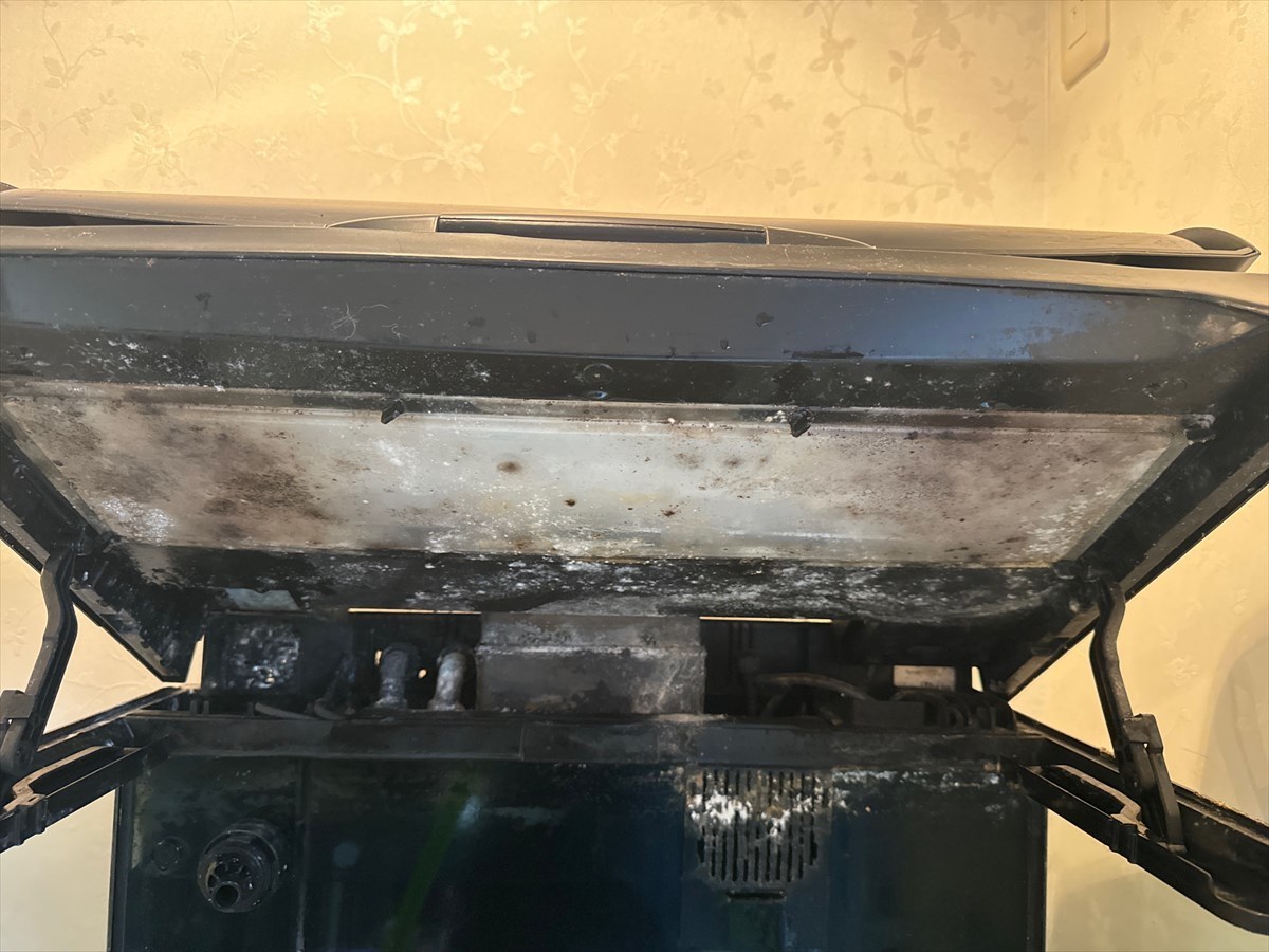 レッドシーマックス水槽　カビ