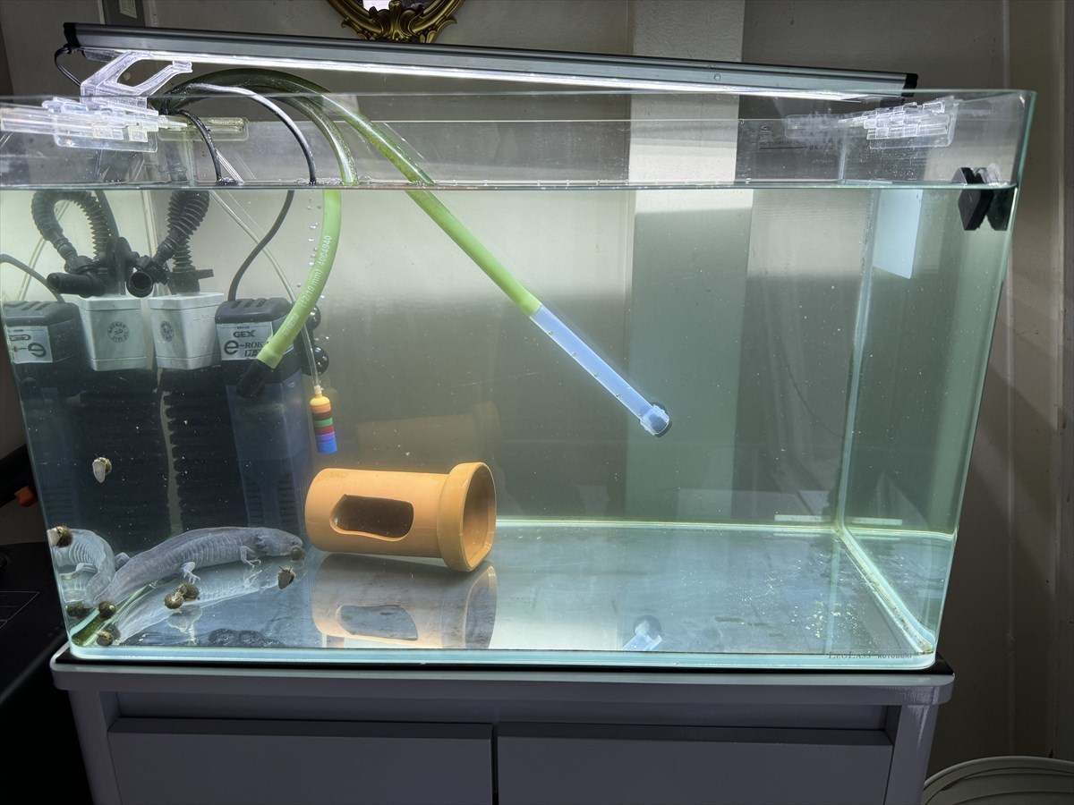 水槽　掃除業者