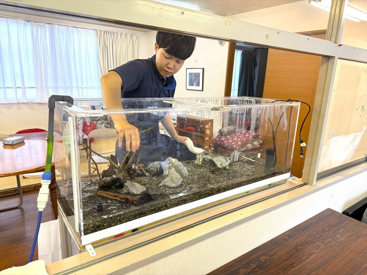 120cm水槽　レイアウト