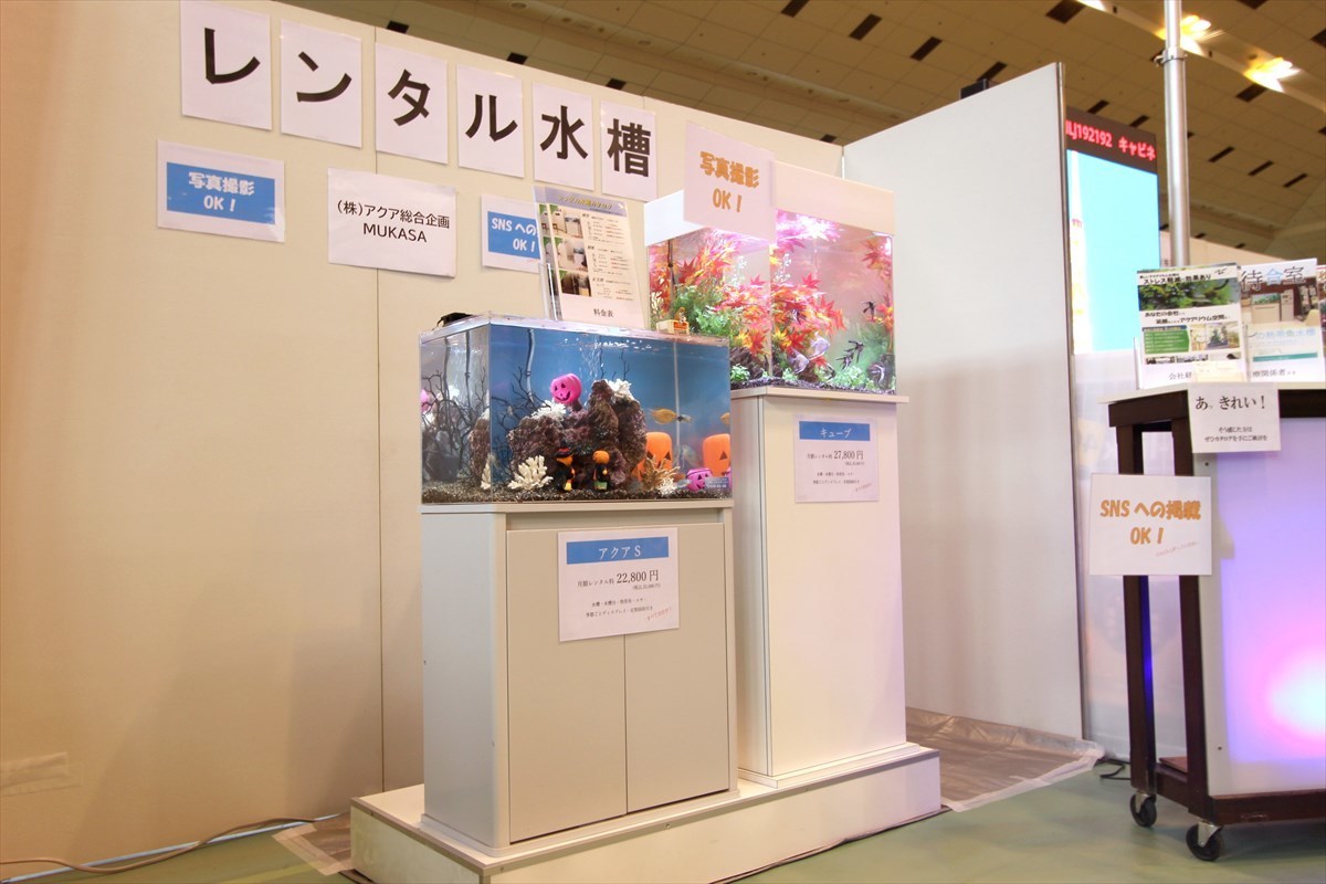 こしがや産業フェスタ　熱帯魚水槽