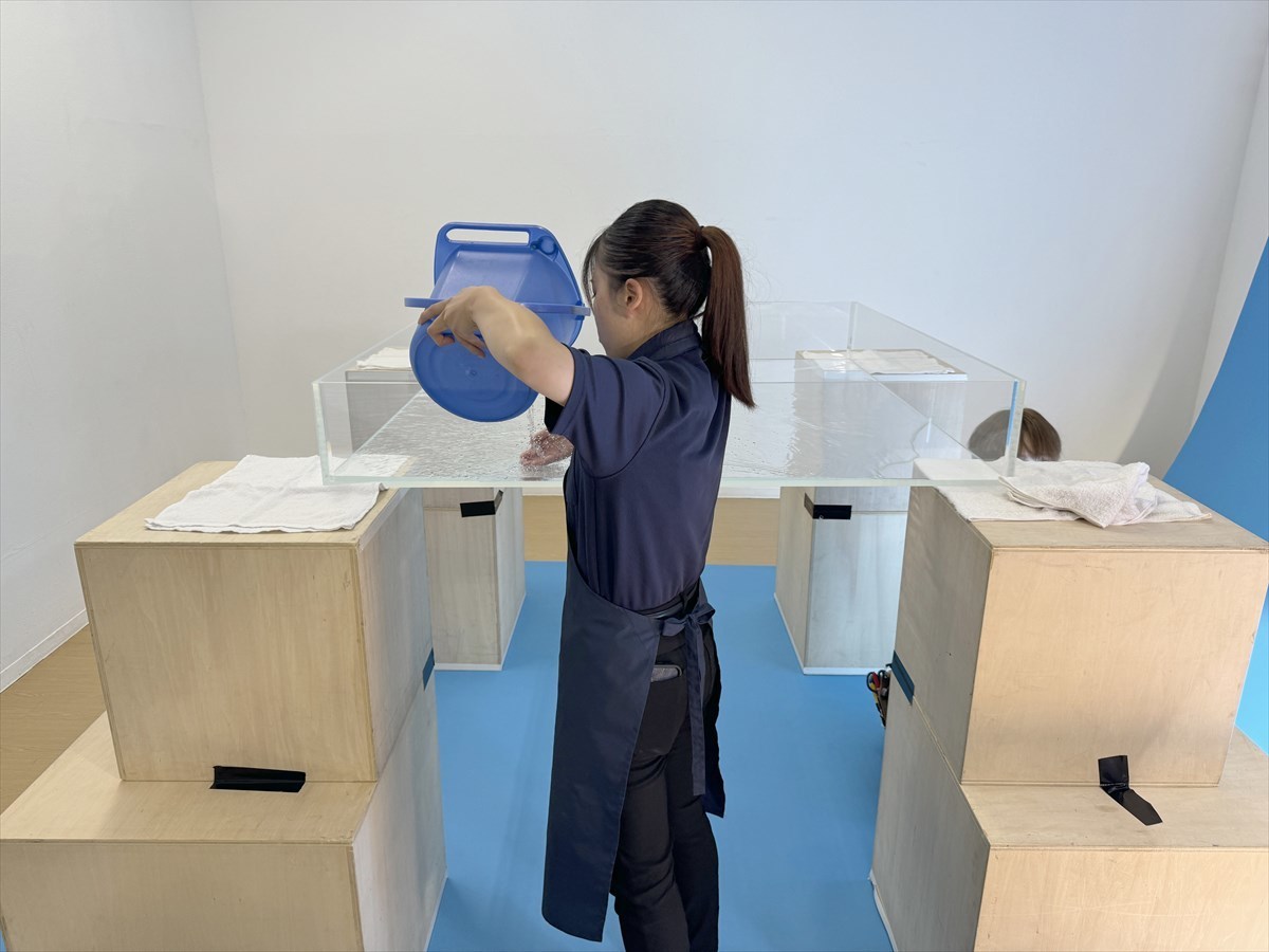 水紋専用水槽　セッティング