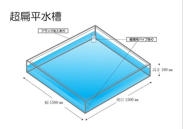 扁平水槽　レンタル